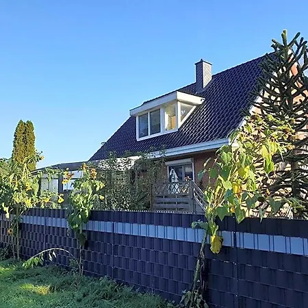 21481 *